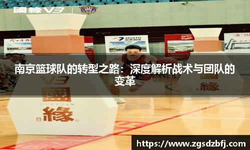 南京篮球队的转型之路：深度解析战术与团队的变革